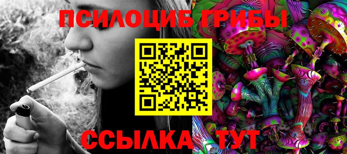 Псилоцибиновые грибы Psilocybine cubensis Десногорск
